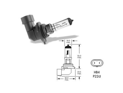 163033 12v hb4 51w p22d elta