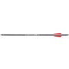 Arrow carbon 15,5" Beast Hunter Siege 1pc