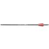 Flecha de carbono 15,5" Beast Hunter Siege 1 ud