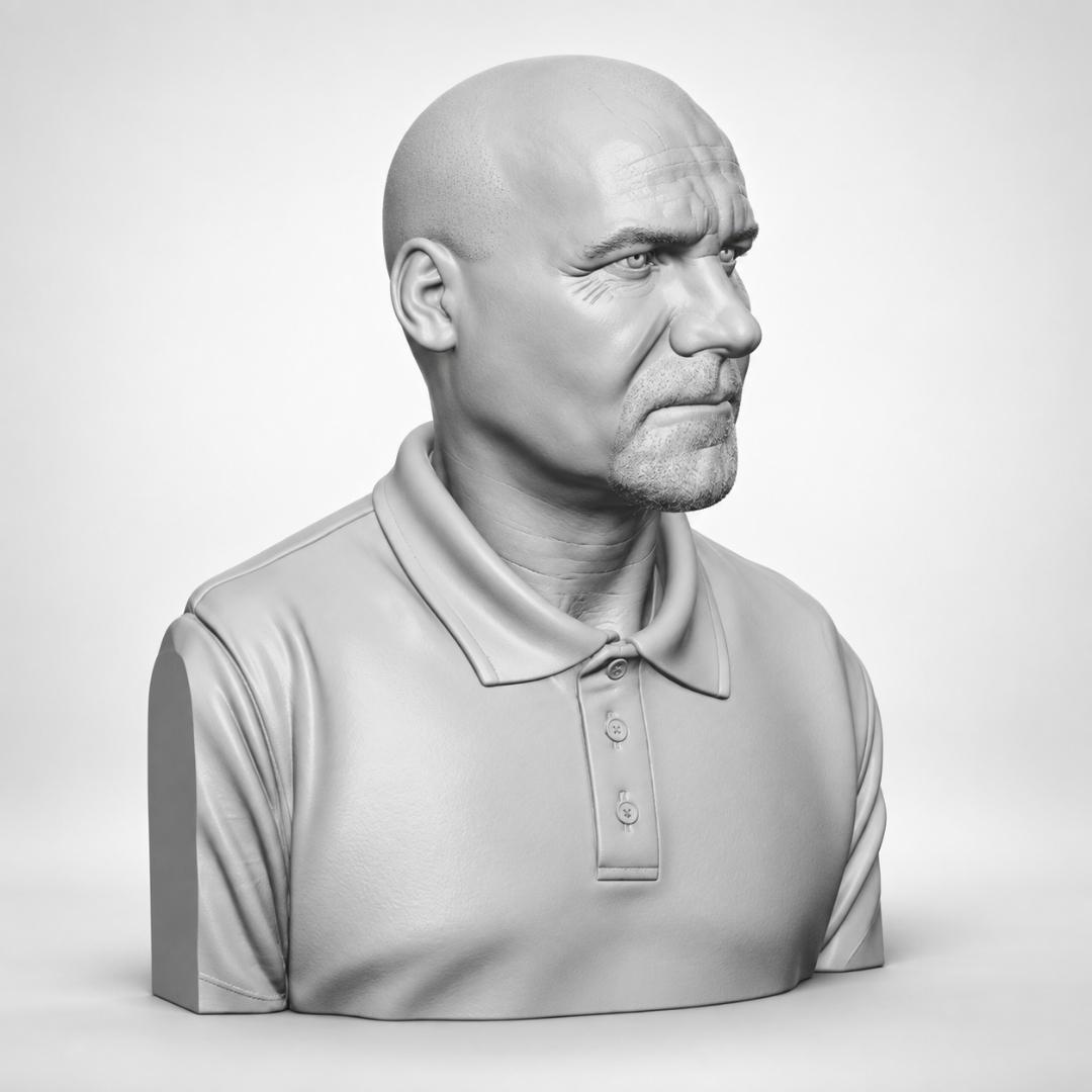 3D busta podle fotografie