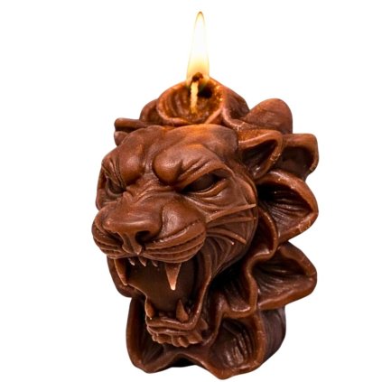 svíčka lev v květu