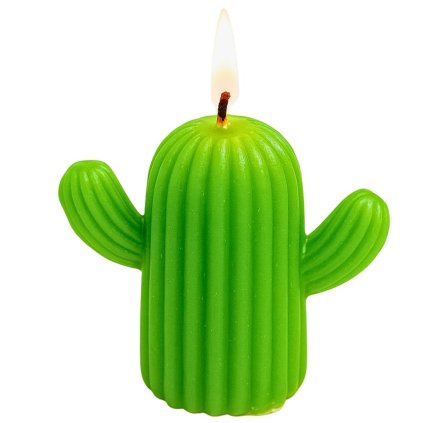 kaktus svíčka s knotem