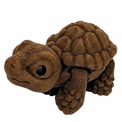 mini suchozemská želva
