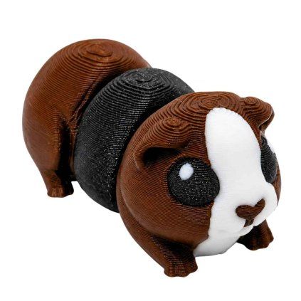 mini morče