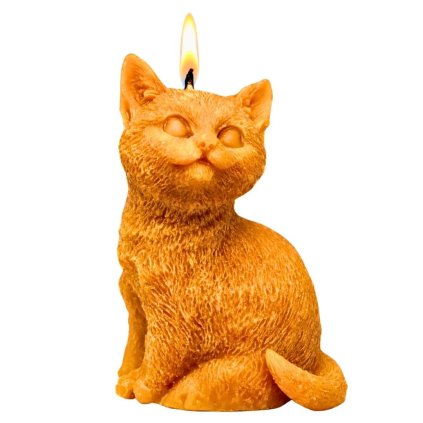 svíčka koťátko