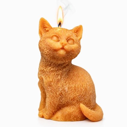 svíčka koťátko hnědá