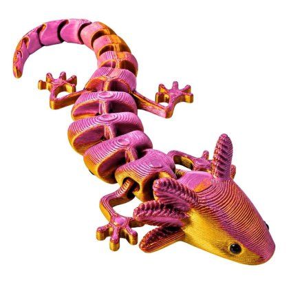 axolotl mládě