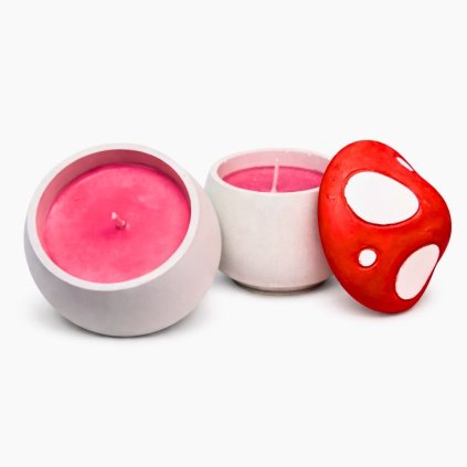 muchomůrka svíčka v prostředí