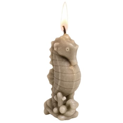 mořský koník svíčka s knotem