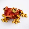 žába červenozlatá