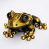 žába zlatočerná
