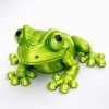 žába žlutozelená