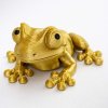 žába zlatá