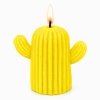 kaktus svíčka žlutá