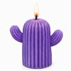 kaktus svíčka fialová