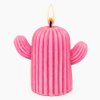 kaktus svíčka růžová