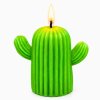 kaktus svíčka zelená