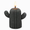 kaktus svíčka černá