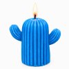 kaktus svíčka modrá