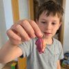 mini berušku v prostředí přívěsek 2