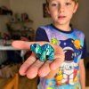 mini želva prostředí