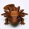 3D axolotl hnědý