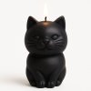 Kočka svíčka černá