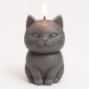 Kočka svíčka šedá