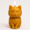 Kočka svíčka hnědá