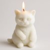 kočka svíčka bílá