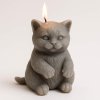 kočka svíčka šedá