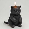 kočka svíčka černá