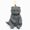 svíčka kočka šedá