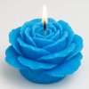 pivoňka svíčka modrá