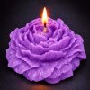 svíčka pivoňka fialová