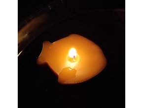 Plovoucí svíčka ze včelího vosku - kapr
