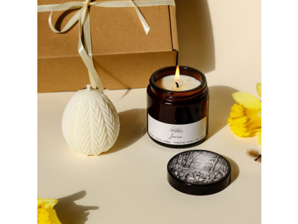 Návrh bez názvu (6)