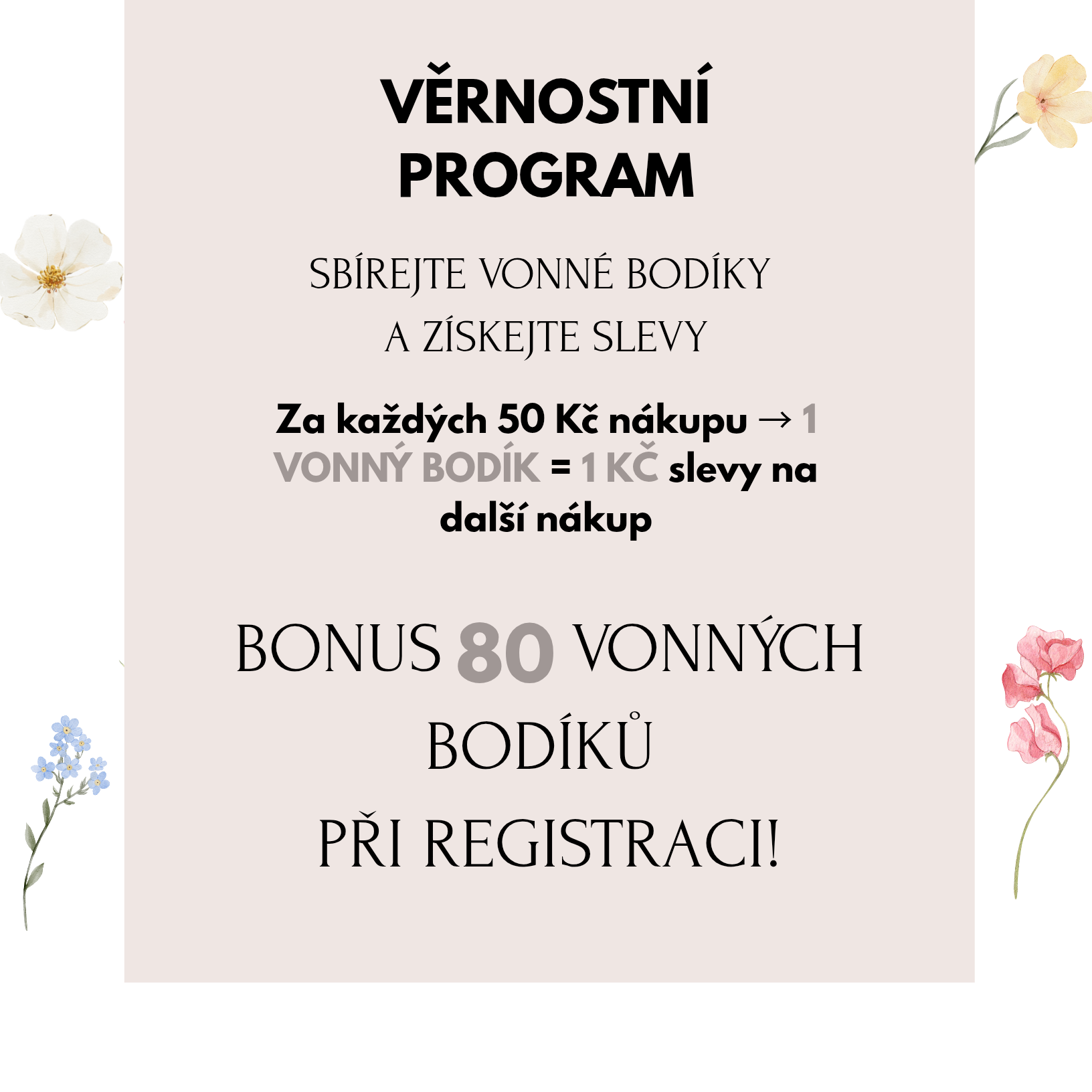 Věrnostní program