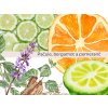 Esenciální olej pačule, bergamot a pomeranč