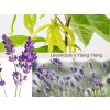 Levandule a Ylang Ylang 130 ml - svíčka s esenciálním olejem levandule a ylang ylang