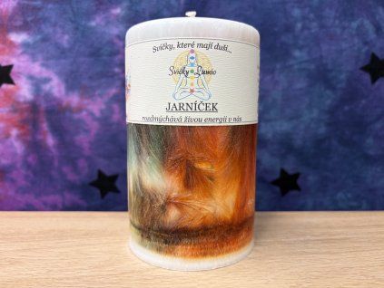 JARNÍČEK 02