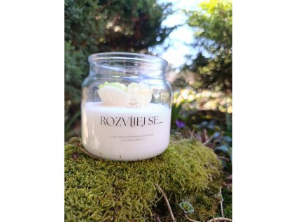 Rozvíjej se... - jarní limitka