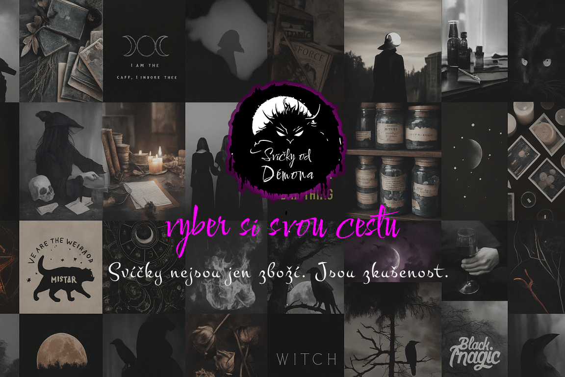 vyber si svou cestu