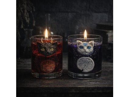 20251228 2129 Mystical Candles Display remix 01kdkacetwf73v0ckf8bkq91nm