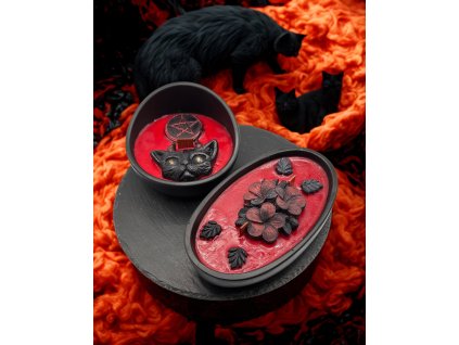 5c8831ff 9f14 456f 8bc7 2acfe6af7cb6