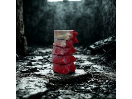 soška Columna vertebralis