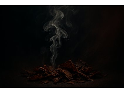 20251124 0319 Gothic Smoke Elegance simple compose 01kastfqayervvv59630rm1cfc