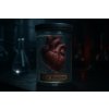 20251214 1823 Gothic Laboratory Heart simple compose 01kcey2brtfm78y9gjve802g10