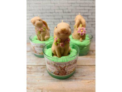 cf5fed6a 75fb 49c3 b691 66d4b3b3a264