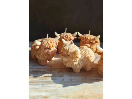 c0751901 d4b3 4f25 8c96 2d2f21131dc5